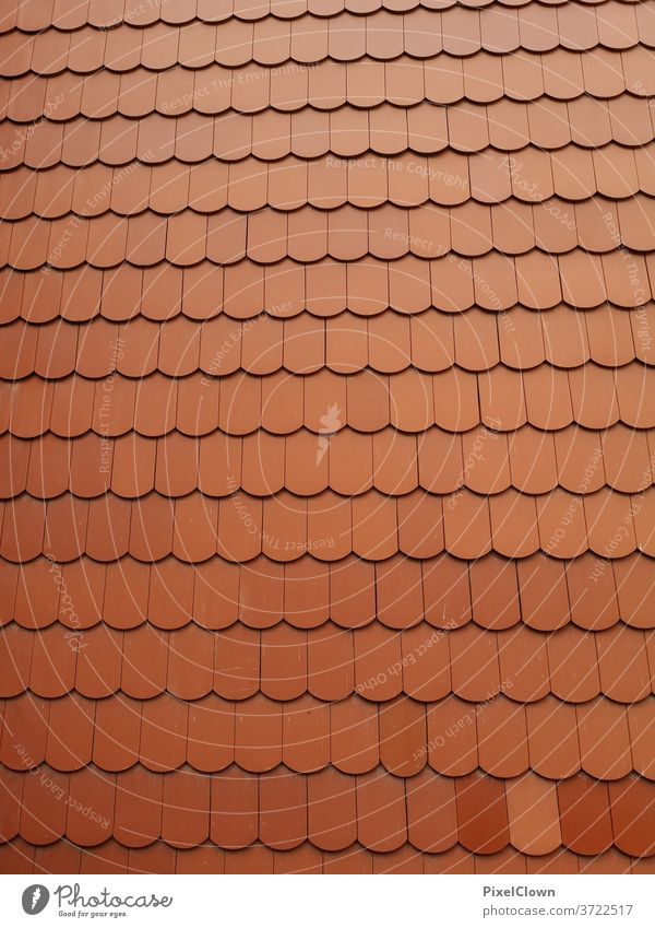 Red roof tiles Roofing tile House (Residential Structure) Colour photo built Exterior shot Architecture Abstract, red