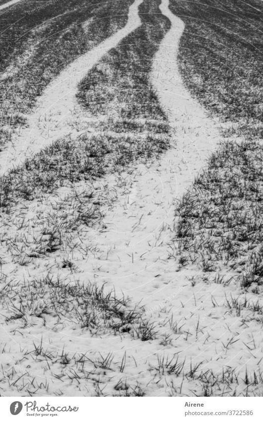 pasture land - may contain traces of snow Agriculture Meadow Gloomy White Loneliness Rural Lanes & trails Grass Line Dark Gray Winter Snow Warped Forwards