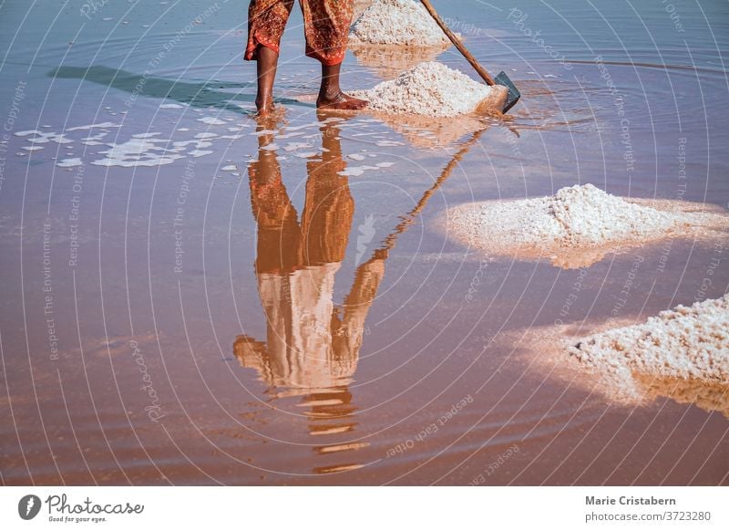 Cinematic photo of saltfield worker harvesting salt in Kampot Province in Cambodia that shows the local culture, livelihood and real life of the Khmer people