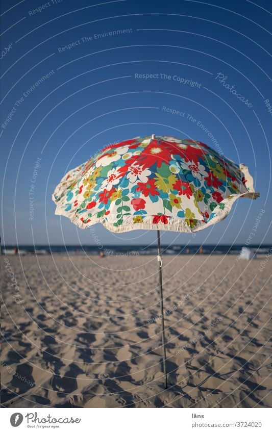 Sunshade on the beach Umbrellas & Shades Vacation & Travel Beach Summer vacation Ocean Tourism Relaxation Deserted Beautiful weather Coast Baltic Sea
