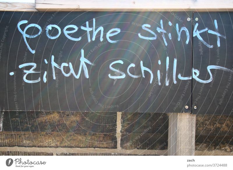 Poets and thinkers Graffiti street art Wall (barrier) Mural painting Facade embassy Letters (alphabet) Digits and numbers Goethe Schiller Writer Literature
