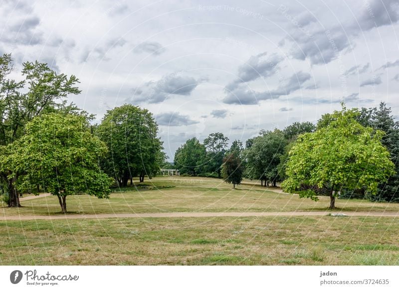 garden monument. Meadow aridity huts Nature Environment Landscape Colour photo Exterior shot Deserted Summer green Grass Day Plant Beautiful weather Sky Clouds