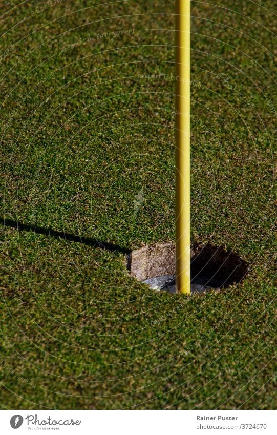 Close-up of hole and flag stick on a golf course birdie close up club copy space daytime fairway field game garden golf club golf flag golf hole golfing grass
