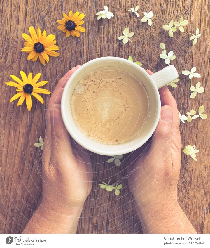 Anticipation | for a cup of cappuccino standing on a wooden table and held by the hands of a woman. White and yellow flower heads decorate the table. Coffee