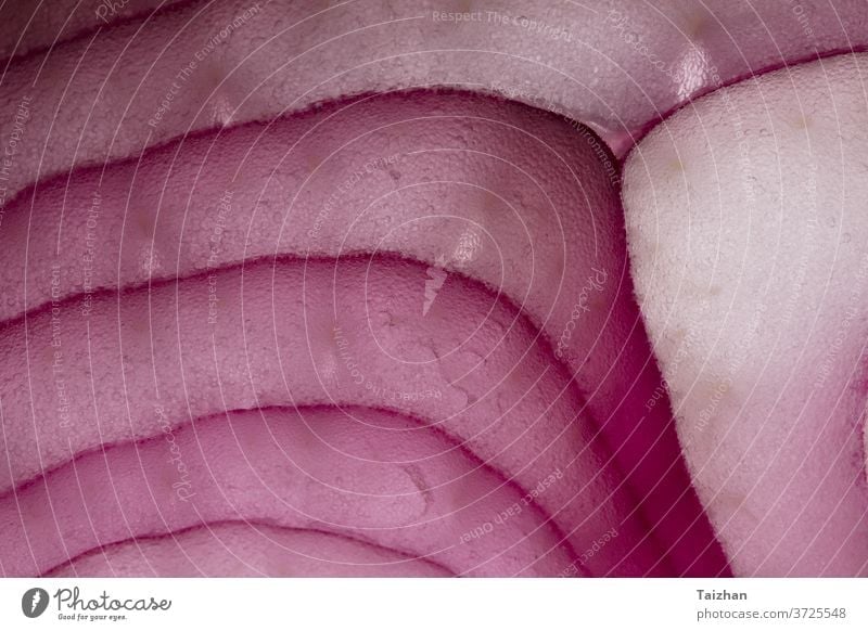 Red onion close-up as a background texture purple vegetable abstract freshness circle pattern food australia half horizontal no people photography ring section