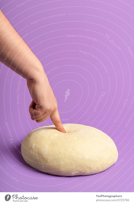 Dough isolated on a purple color. Testing leavened dough. Bread baking background bake bakery ball bread bread dough buns concept cooking copy space cut out