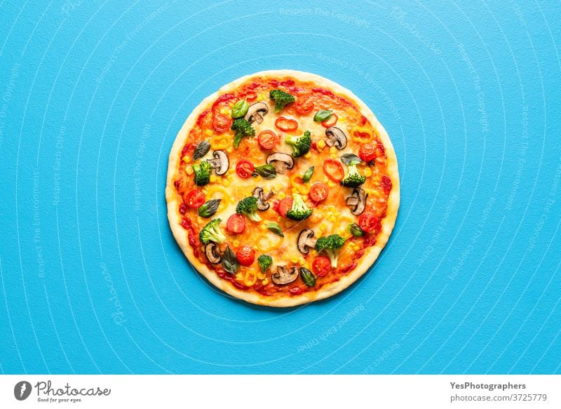 Pizza primavera on a blue table, top view. Vegetarian pizza isolated on a colored background. above view baked baking basil broccoli champignons cheese