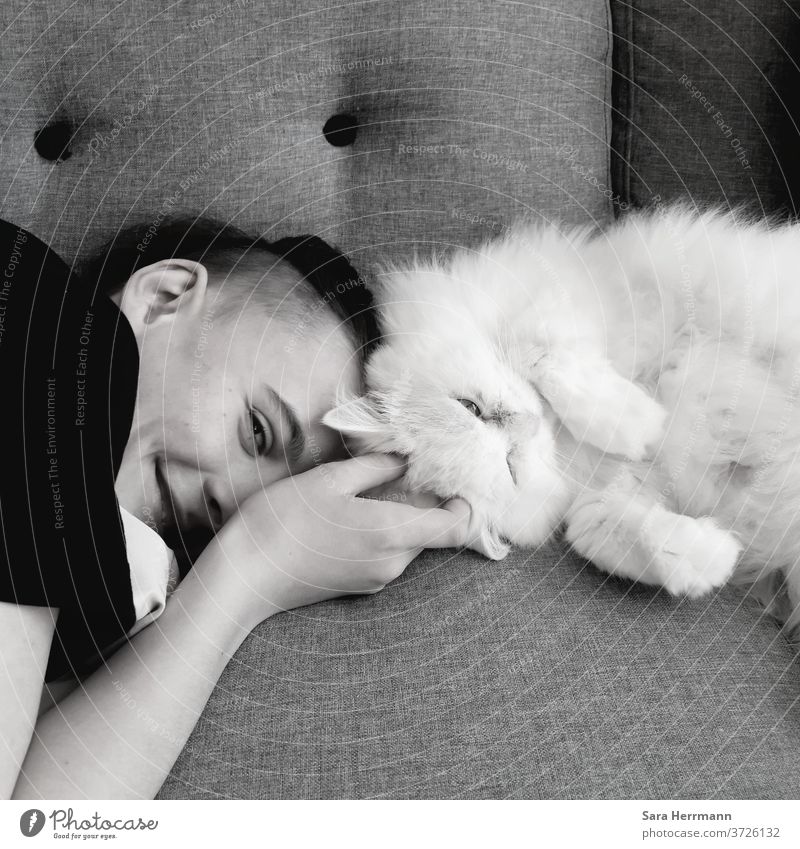 Boy with white cat Infancy Cat Love Pet Friendship affectionately