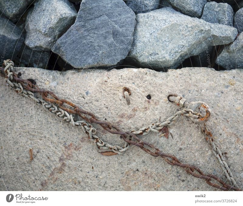 Old love Chain Chain link Patient Metal Closed Attachment Subdued colour Detail Close-up Harbour Firm anchored Safety Concrete stones floor Under roasted