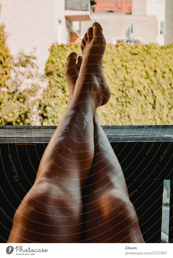 Cyclist legs Legs cyclists Sportsperson Athletic Naked Knee Shaven Male Legs Man Brown Summer Sun Garden rest Relaxation relaxation Balcony at home feet
