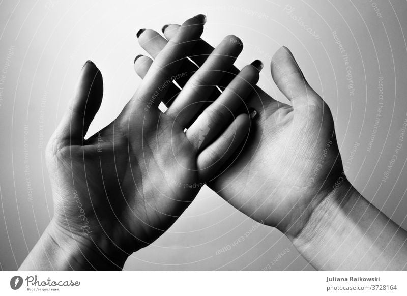 open hands in black and white Woman by hand Fingers Human being Detail Trust Close-up Touch Friendship Sympathy Adults To hold on Feminine Interior shot