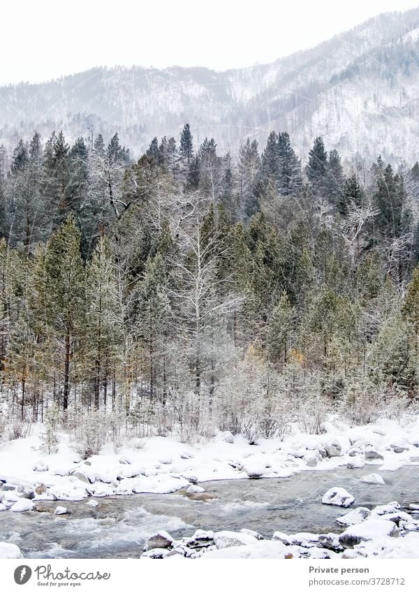beautiful Winter mountain landscape, Forest, mountains, mountain stream, snow Mountain Landscape Snow scenic forest tree river Nature River Water