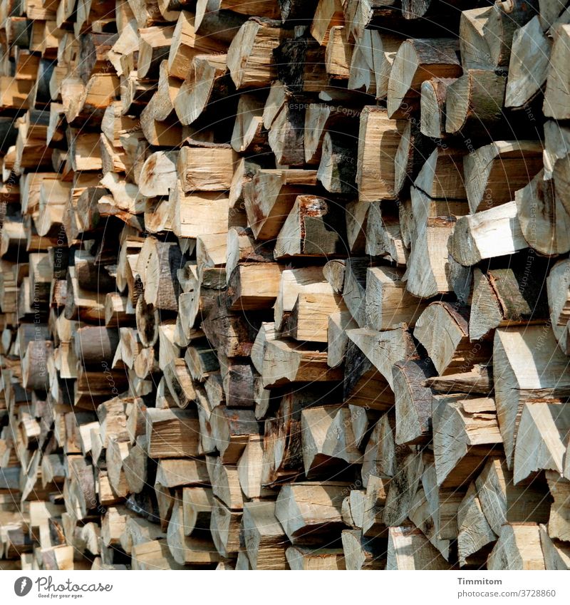 Stacked wood Wood Stack of wood stacked Edges Light Shadow Firewood Forestry Tree Nature Fuel