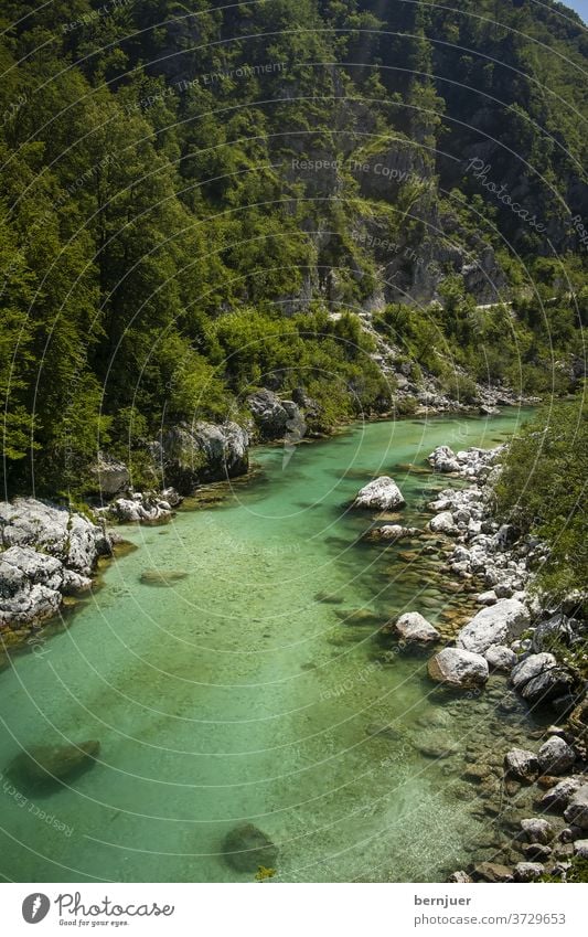 soca river in Slovenia in summer Landscape Wild River Canyon Outdoors Adventure fluid Water green triglav mountain turquoise alpine Forest travel Rafting Nature