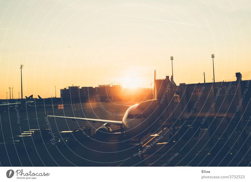 A plane at the airport at sunrise Airplane Airport dispatch travel Wanderlust Sunrise atmospheric Vacation & Travel Passenger plane Airfield Tourism