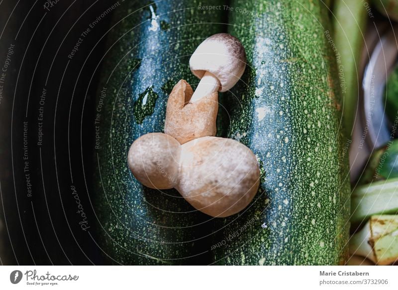 Unique mushroom that resembles the shape of the male genitals against fresh zucchinni to show humor and concept of sexuality, fertility and lgbtq Phallic shape