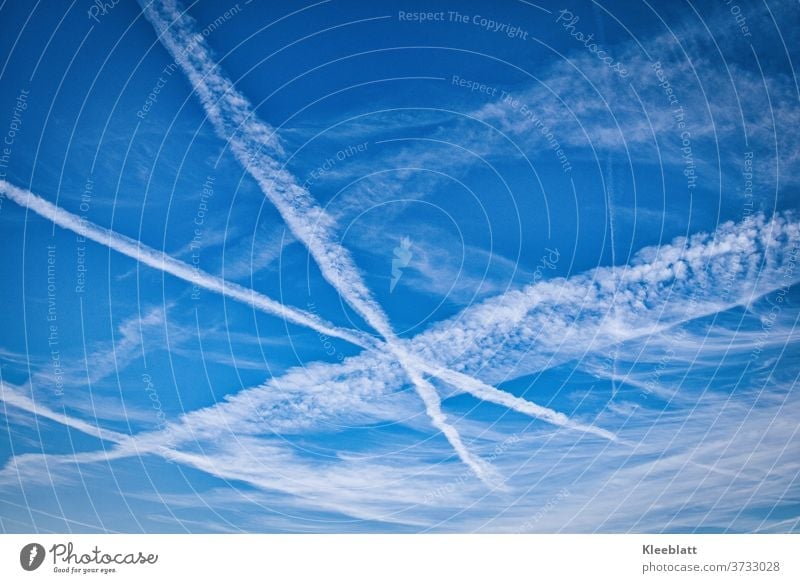 Airplanes draw X-shaped lines in the bright blue sky Sky Blue sky Beautiful weather Weather Exterior shot Clouds Deserted Copy Space Climate White Freedom