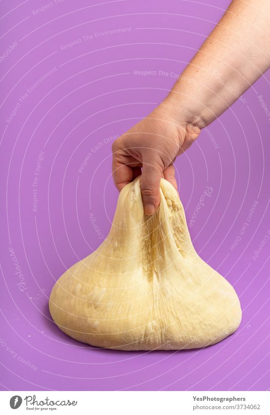 Dough isolated on a purple table. Woman stretching uncooked dough background bake bakery baking bread bread dough buns concept cooking copy space cut out