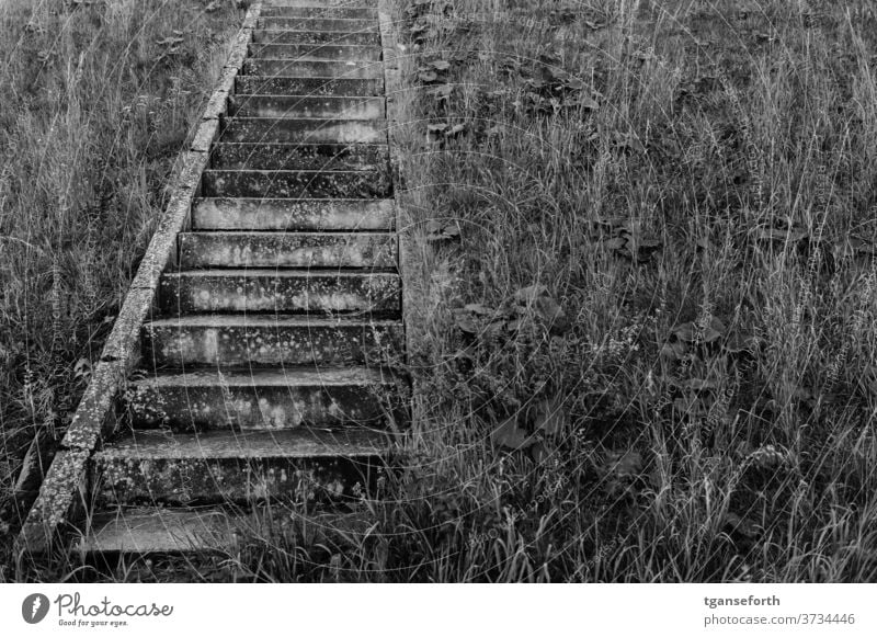 Stairs in the dike Dike Grass Concrete Architecture upstairs Lanes & trails Deserted Exterior shot Day Black & white photo Sharp-edged Upward Abstract Esthetic