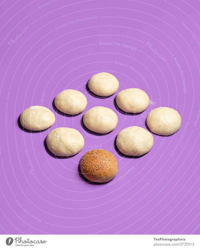 Bread buns baked and raw dough balls isolated on purple dough. Making of burger buns aligned background bakery baking bread buns bright burger rolls cooking