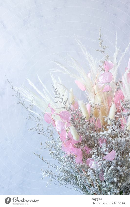 Bouquet of colorful dried flowers whites and pink and white spikes abstract aged arrangement beauty bouquet close-up colored colourful colours decorating