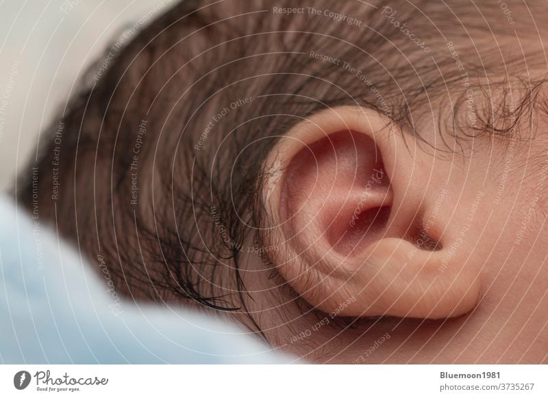 Closeup shot of a newborn baby ear peacefully slept in bed boy sleep infant cute care skin detail health close-up child soft beautiful blanket hair caucasian
