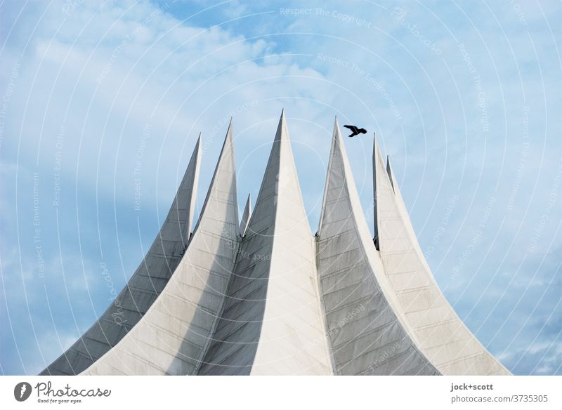 Roof like a circus tent Tempodrom Exceptional Concrete Famousness Original Modern Circus tent Clouds Sky Architecture Tourist Attraction Flight of the birds