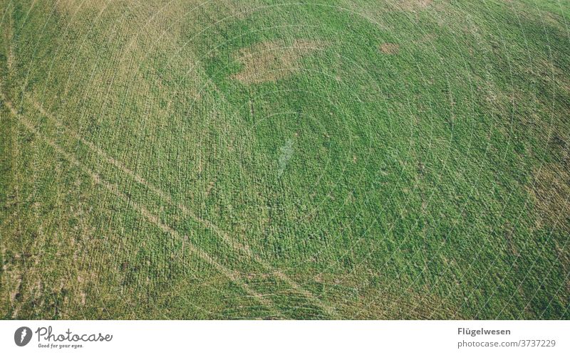 tracks aerial photograph drones UAV view Field Harvest Meadow Lawn Lanes & trails cross green Bird's-eye view curvaceous