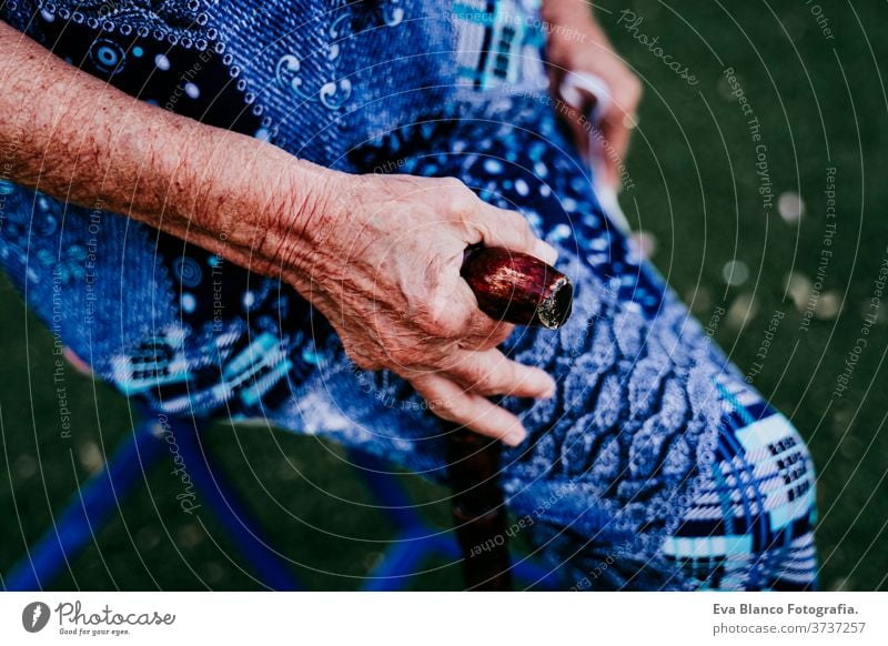 close up of old lady hands holding a stick outdoors woman portrait elderly home garrotte white hair grey hair mental solitude thoughtful grandmother aged health