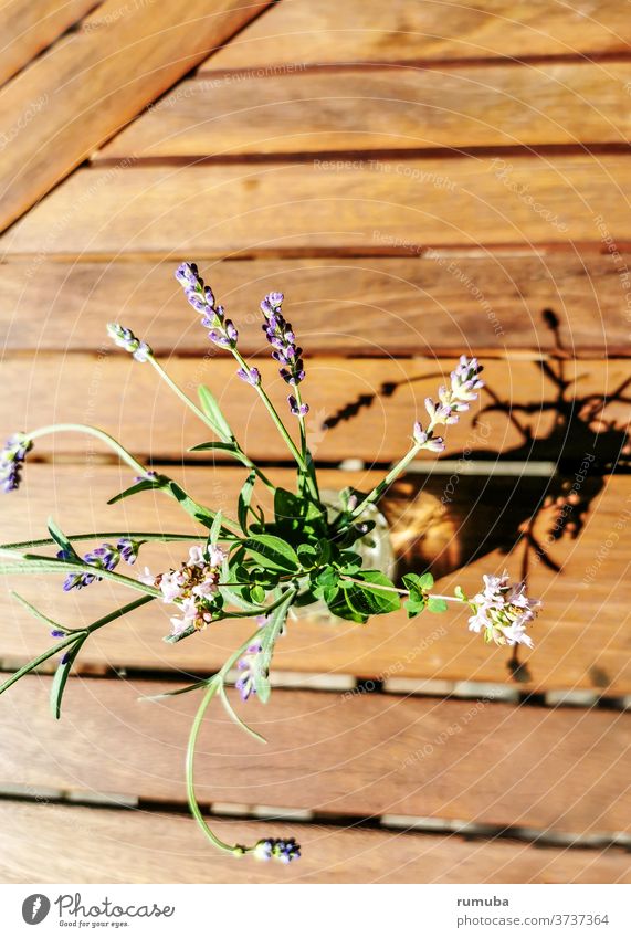 Small lavender bouquet with shadow, bird's eye view tacky chic Alternative Gardening Close-up Colour bleed Violet Provence Summer Bouquet heyday flowers Purple