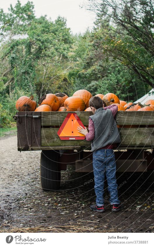 Boy with a wagon full of pumpkins fall Autumn Autumnal Farm Pumpkin pumpkin patch pumpkin farm Agriculture crop Harvest Rustic slow moving vehicle sign