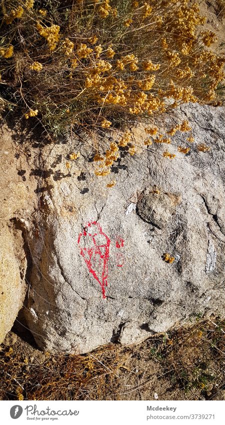 drawn ice Ice Ice-cream cone Drawing sketch Stone Elba Nature Nature reserve nature photography natural-coloured Red Shriveled flowers bleed Rock