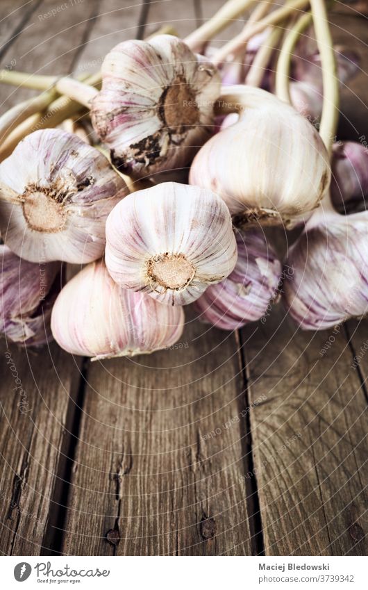 Close up picture of fresh organic garlic. garden agriculture vegetable food local market rustic wooden spice close up raw healthy bulb countryside natural