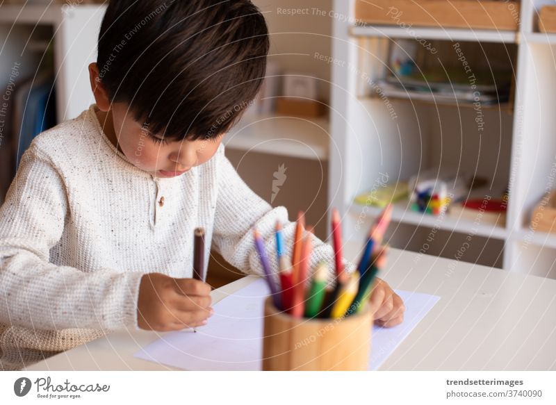 Preschooler kid drawing with coloured pencils. Homeschooling. Learning community. Montessori school. caucasian desk nursery homeschooling room minimalist clean