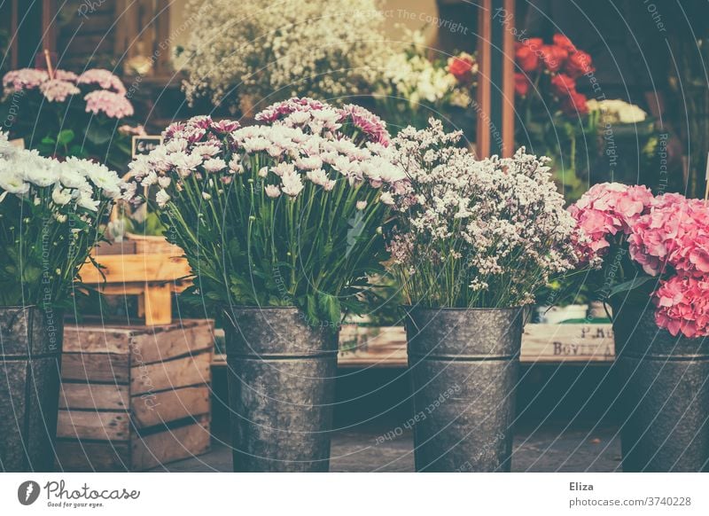 Various colourful flowers at a flower stand Flower stall flower shop variegated spring Vase floral shank Floristry bleed
