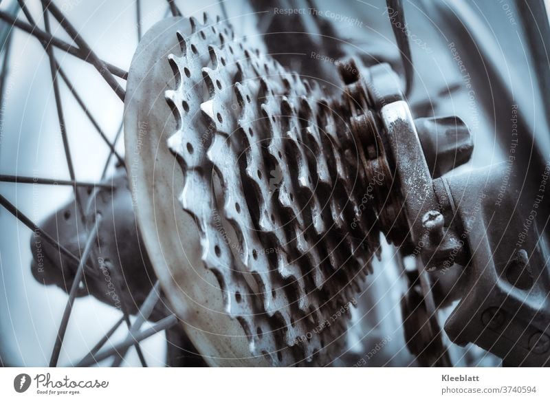 Close-up of old gears of a gear shift of a disused bicycle Bicycle, Gearshift, Chain, Rusty, Gearwheel Detail Back wheel, Day Colour photo Movement Cycling