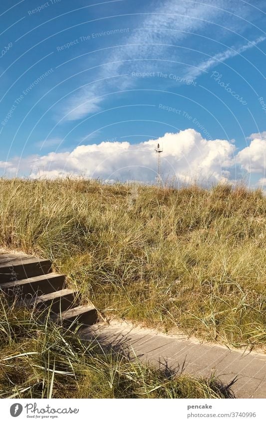 temporary solution Stairs dunes North Sea Coast Beach Sand Vacation & Travel Ocean Nature Relaxation Marram grass North Sea coast Sky Clouds Landscape Denmark
