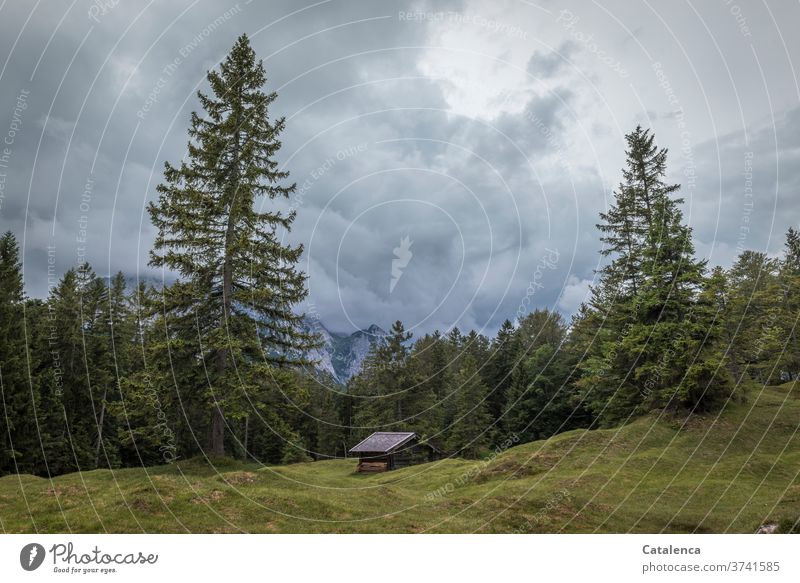 In the haystack on the humpback meadow, surrounded by old spruces, we find protection from the approaching thunderstorm mountain Landscape Nature Clouds Sky
