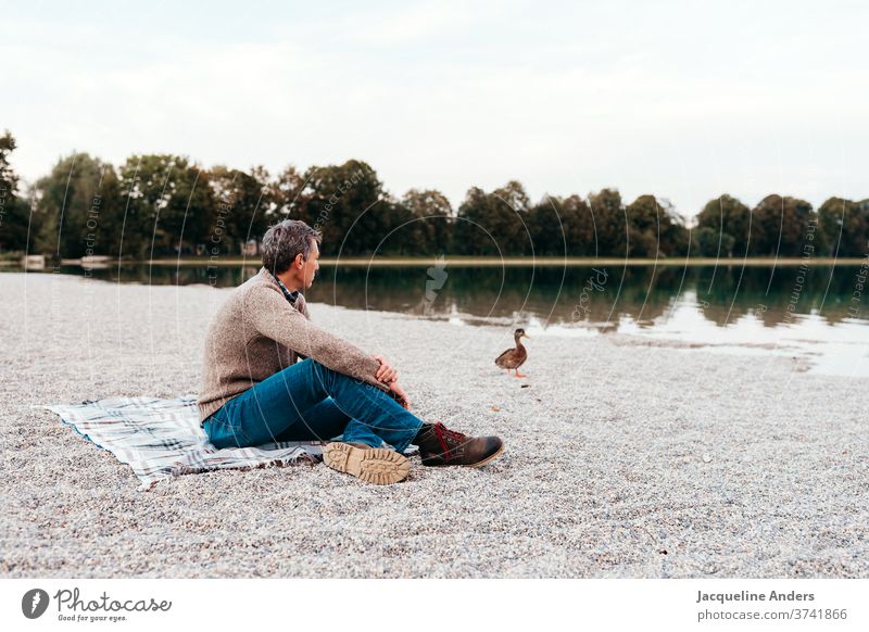 a man sits by the lake in autumn and watches a duck Man more adult Individual Sit Lake Observe Duck 1 Person Exterior shot Autumn Deserted Colour photo