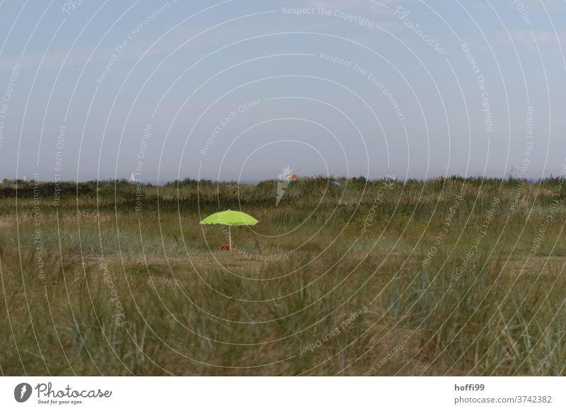 a lonely green parasol in the dunes Sunshade Marram grass dune landscape dune path minimalism Coast Ocean Calm Relaxation rest tranquil setting