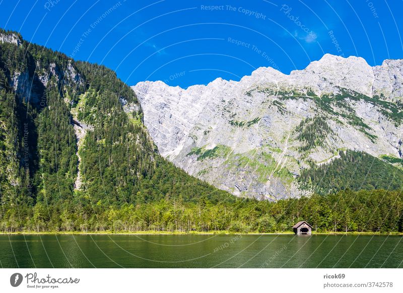 View of the Königssee in Berchtesgadener Land Lake Königssee Alps mountain Berchtesgaden Country Bavaria tree Forest Landscape Nature Boathouse boathouses