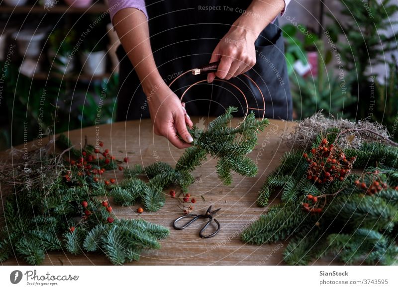 Woman making a Christmas crown from winters leaves outdoor leaf nature hand cristmas woman flower cornet fresh midsummer festival garden june religion wreath