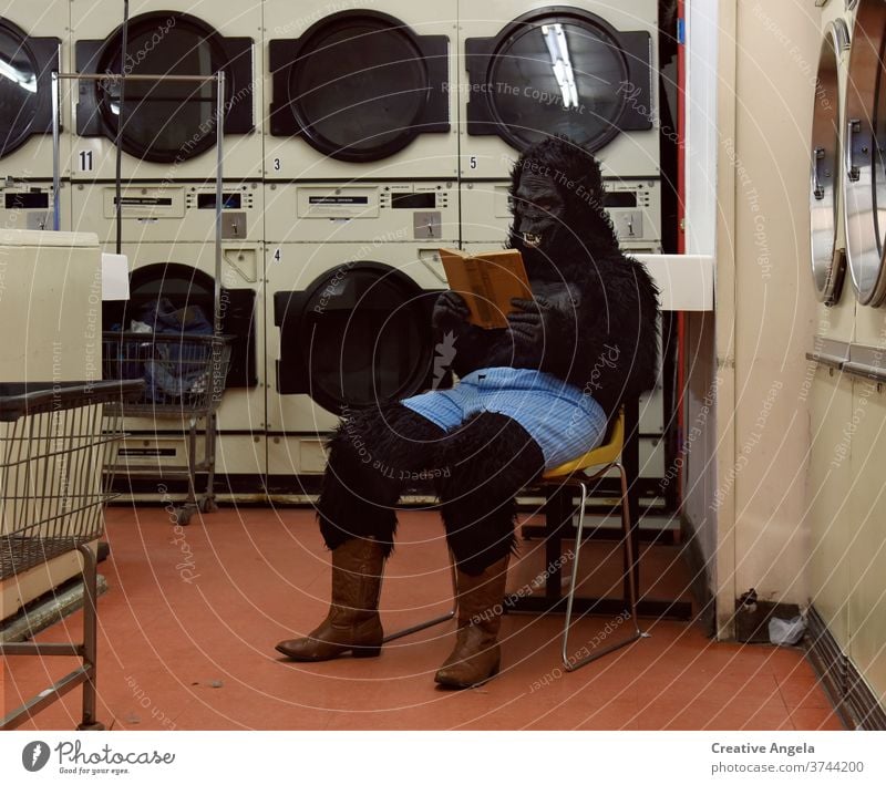 Funny Gorilla Person Reading Book at Laundromat bizarre costume gorilla funny humor indoors launderette laundromat laundry life lifestyle looking machine mask