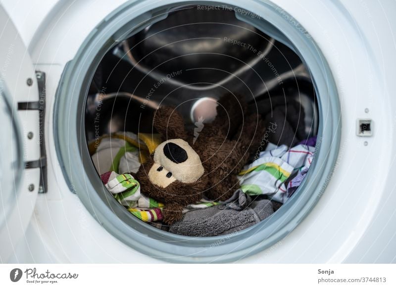 Teddy bear with clothes in a washing machine Washer Washing Dirty laundry garments Washing day Laundry Clean Household Living or residing