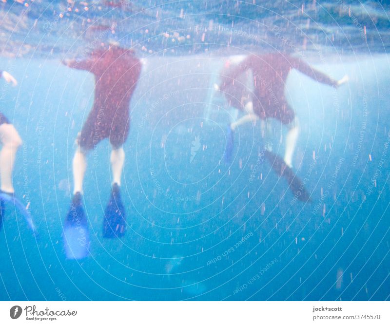 swimming in the big blue Underwater photo Snorkeler Pacific Ocean Warmth Blue Vacation & Travel Posture Blur Human being Movement Surface of water Trip