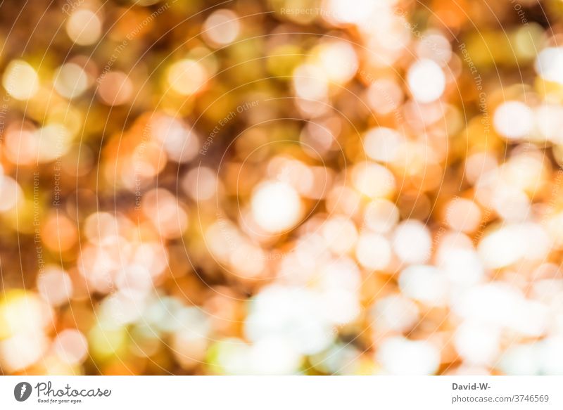 Bokeh in autumn bokeh clearer Autumn Illuminate Visual spectacle beautifully golden sparkle sorcery magical