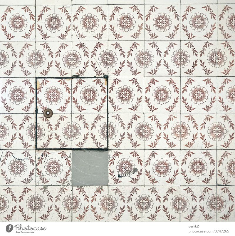 Close the flap Tile Wall (building) Pattern Structures and shapes Colour photo Old Historic Nostalgia Creativity Complex Retro Twenties Past Ornament