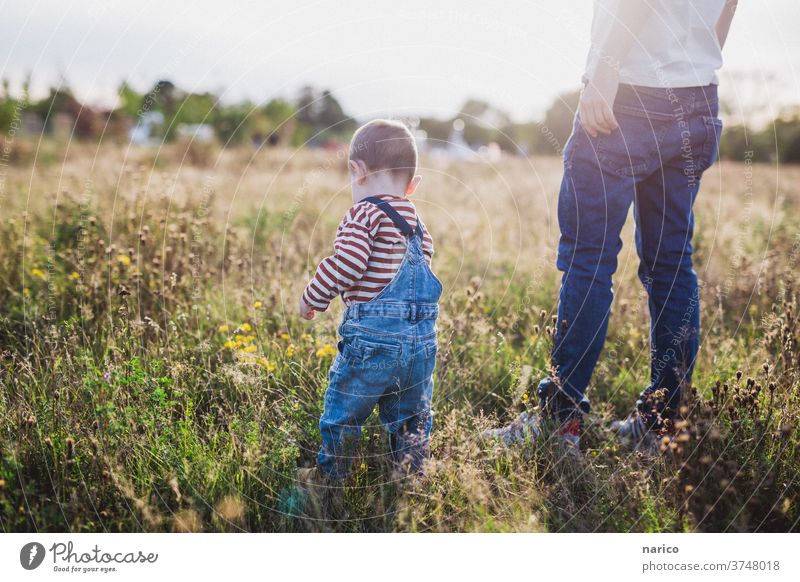 Father and son standing on a meadow at sunset Toddler Son Sunlight Sunset Meadow Overalls Family & Relations Man Child Exterior shot Colour photo Together