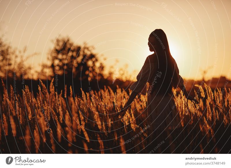 Young woman Girl in field in Sunset in spring, summer landscape background Springtime Summertime. Beautiful smiling woman in a field at sunset. selective focus