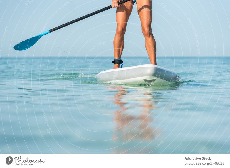 Woman on paddleboard in sea row woman surfer summer surfboard practice female training stand sup board water fit ocean sunny activity sport exercise lady